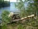 Rock Island fallen tree 18 June 05